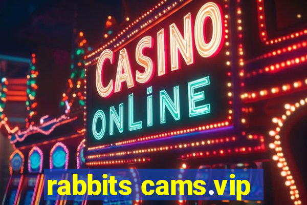 rabbits cams.vip